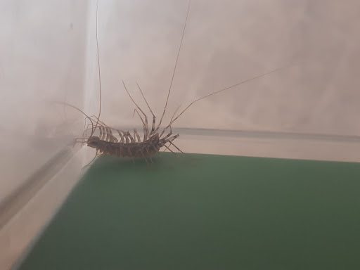 Department Store «Walmart Supercenter», reviews and photos, 10392 Fremont Pike, Perrysburg, OH 43551, USA