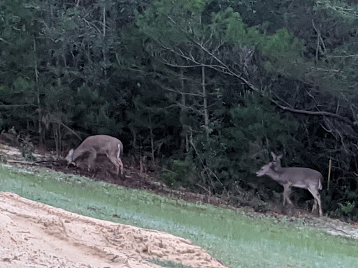 Public Golf Course «Eglin Golf Course», reviews and photos, 1527 Fairway Dr, Niceville, FL 32578, USA