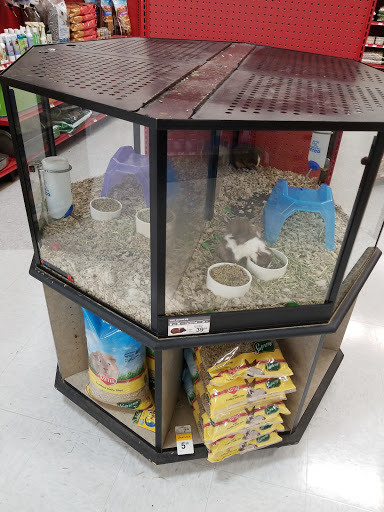 Pet Supply Store «Petco Animal Supplies», reviews and photos, 12551 Jefferson Ave #119, Newport News, VA 23602, USA