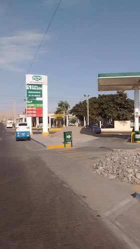 Grifo Halkon - Tacna