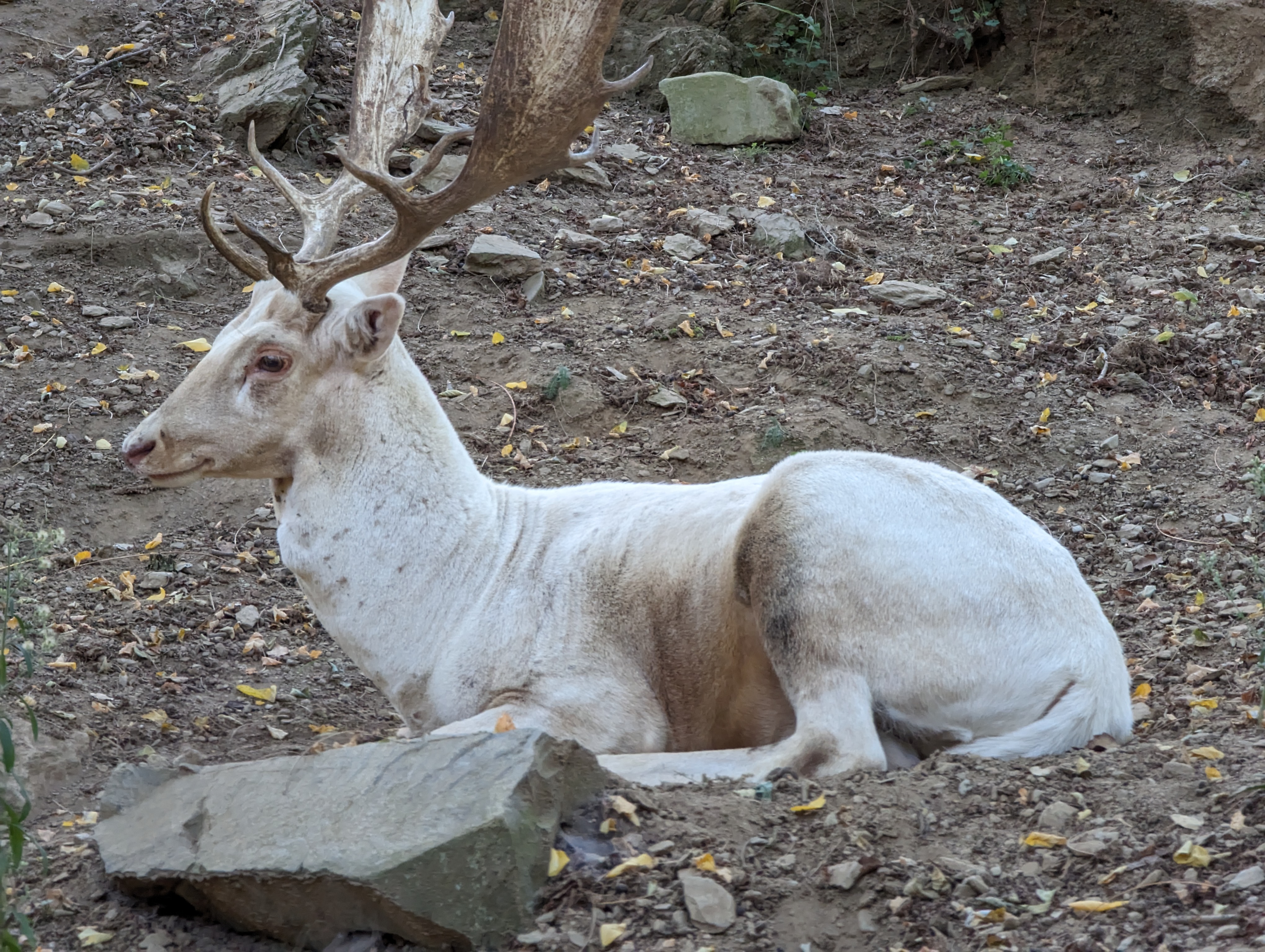 Photo n° 27 de l'avis de Thibaud.l fait le 10/10/2023 à 07:10