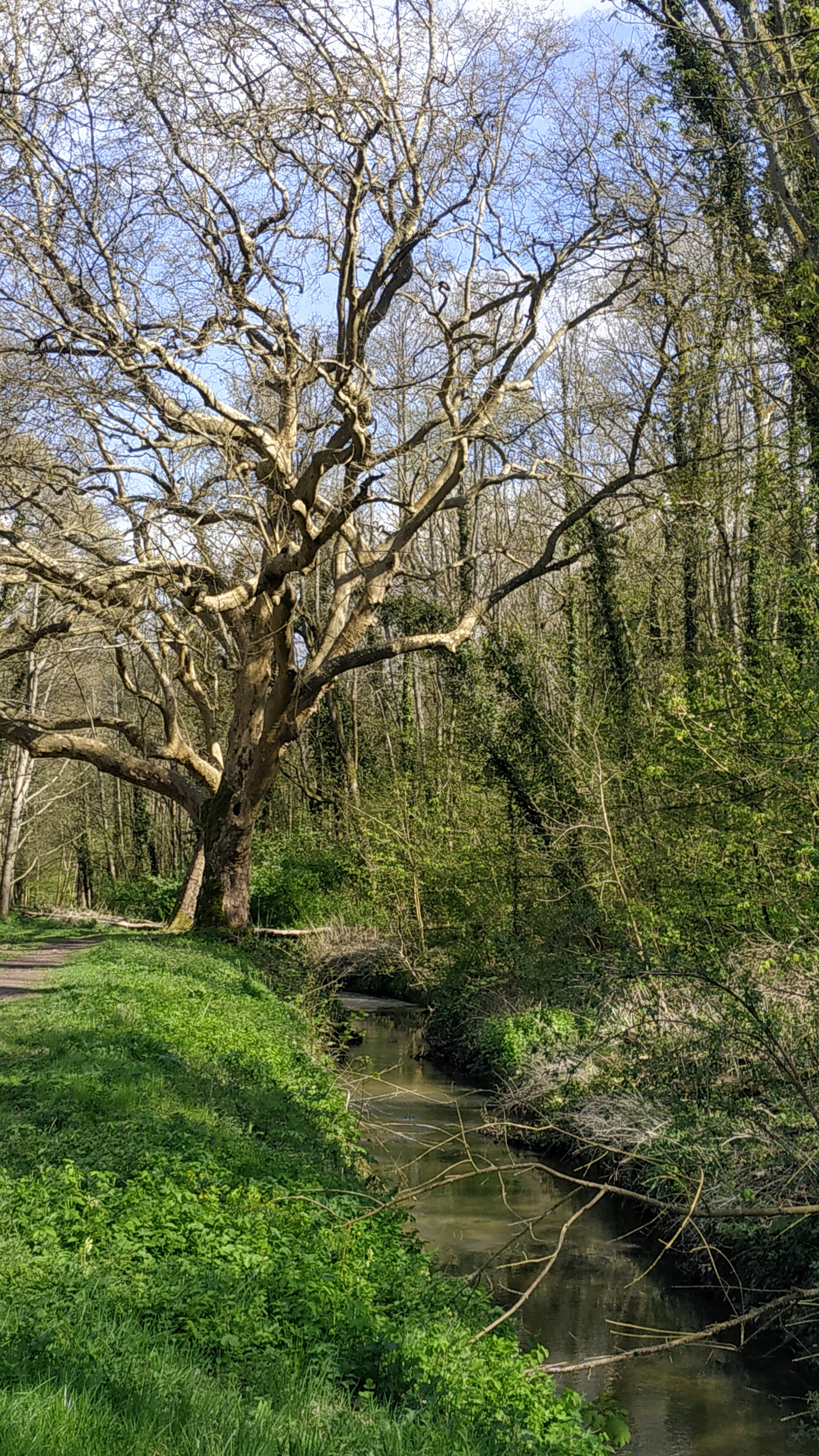 Photo n° 3 de l'avis de The.a fait le 14/04/2022 à 15:59