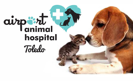 Airport Animal Hospital, Toledo: Dr. Cuesta DVM