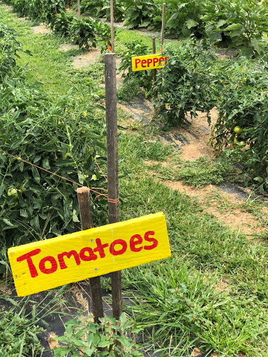 Produce Market «Richards Fruit Market», reviews and photos, 6410 Middle Rd, Middletown, VA 22645, USA