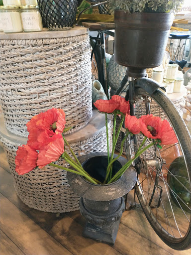 Gift Shop «Sand Dollar Gift Shop», reviews and photos, 5302 Marina Dr, Holmes Beach, FL 34217, USA