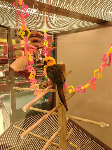 Shopping Mall «Waterworks Mall», reviews and photos, 933 Freeport Rd, Pittsburgh, PA 15238, USA