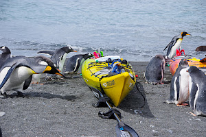 Mission Kayaking