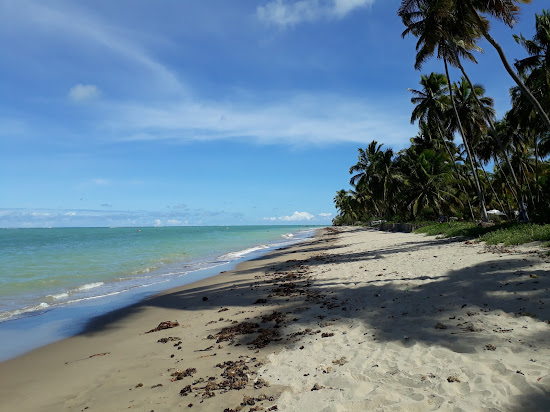 Praia do Patacho