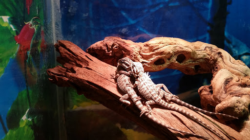 Pet Store «Marineland Pet Center», reviews and photos, 412 Oak Forest Dr, Onalaska, WI 54650, USA