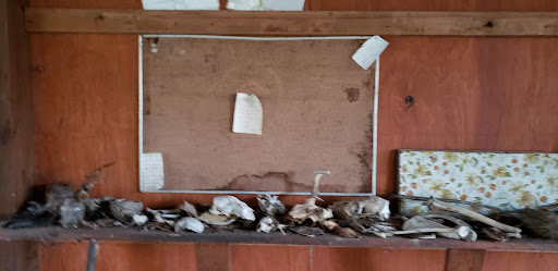 Nature Preserve «Sutherland Nature Sanctuary», reviews and photos, 3998 Diehl Rd, Metamora, MI 48455, USA