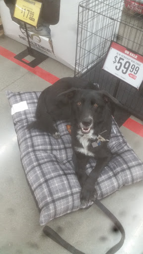 Home Improvement Store «Tractor Supply Co.», reviews and photos, 418 Napa Junction Rd, American Canyon, CA 94503, USA