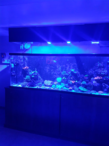 Tropical Fish Store «Hydra Aquatics International, Inc.», reviews and photos, 1300 Stirling Rd #7a, Dania Beach, FL 33004, USA