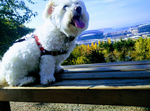 Park «Dr. Jose Rizal Park», reviews and photos, 1007 12th Ave S, Seattle, WA 98144, USA