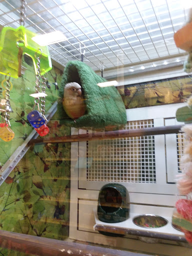 Pet Supply Store «PetSmart», reviews and photos, 13000 Aurora Ave N, Seattle, WA 98133, USA