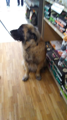 Pet Supply Store «Petco Animal Supplies», reviews and photos, 1049 S Willow St, Manchester, NH 03103, USA