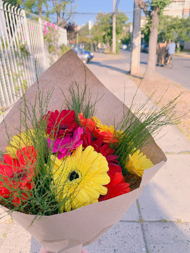 Floreria en Viña del Mar Voilà