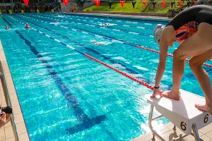 The Y Ku-ring-gai Fitness and Aquatic Centre image