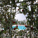 Photo n°3 de l'avis de caterina.o fait le 30/08/2019 à 14:55 sur le  Relais Sassa Al Sole à Corazzano