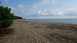 Brostomnitsa Beach III'in fotoğrafı biraz temiz temizlik seviyesi ile