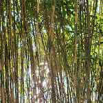 Photo n° 17 de l'avis de Michael.l fait le 08/04/2024 à 06:32 pour Domaine De La Bretesche à Missillac