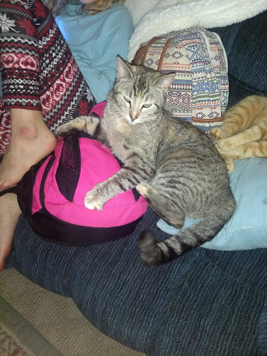 Clothing Store «Citi Trends», reviews and photos, 237 E Lewis and Clark Pkwy, Clarksville, IN 47129, USA