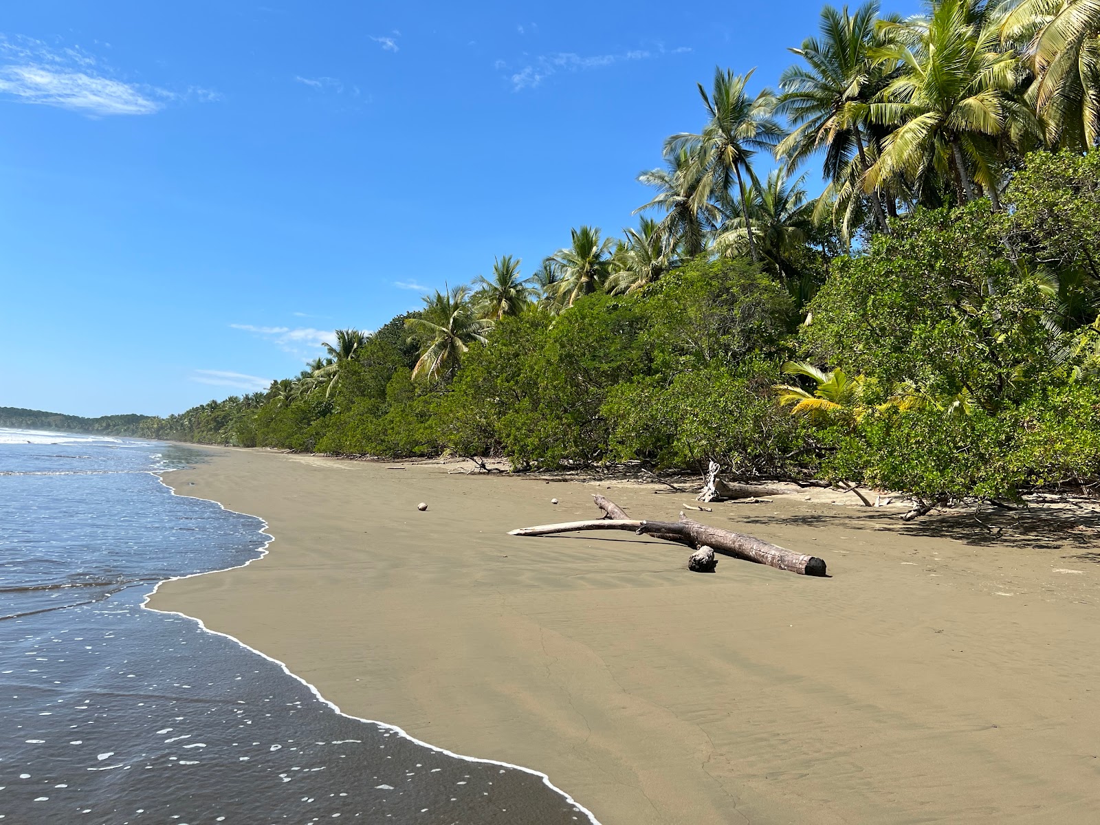 Foto di Playa Uvita con una superficie del sabbia luminosa