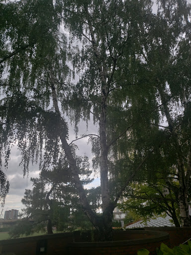 Arena «Agganis Arena», reviews and photos, 925 Commonwealth Avenue, Boston, MA 02215, USA