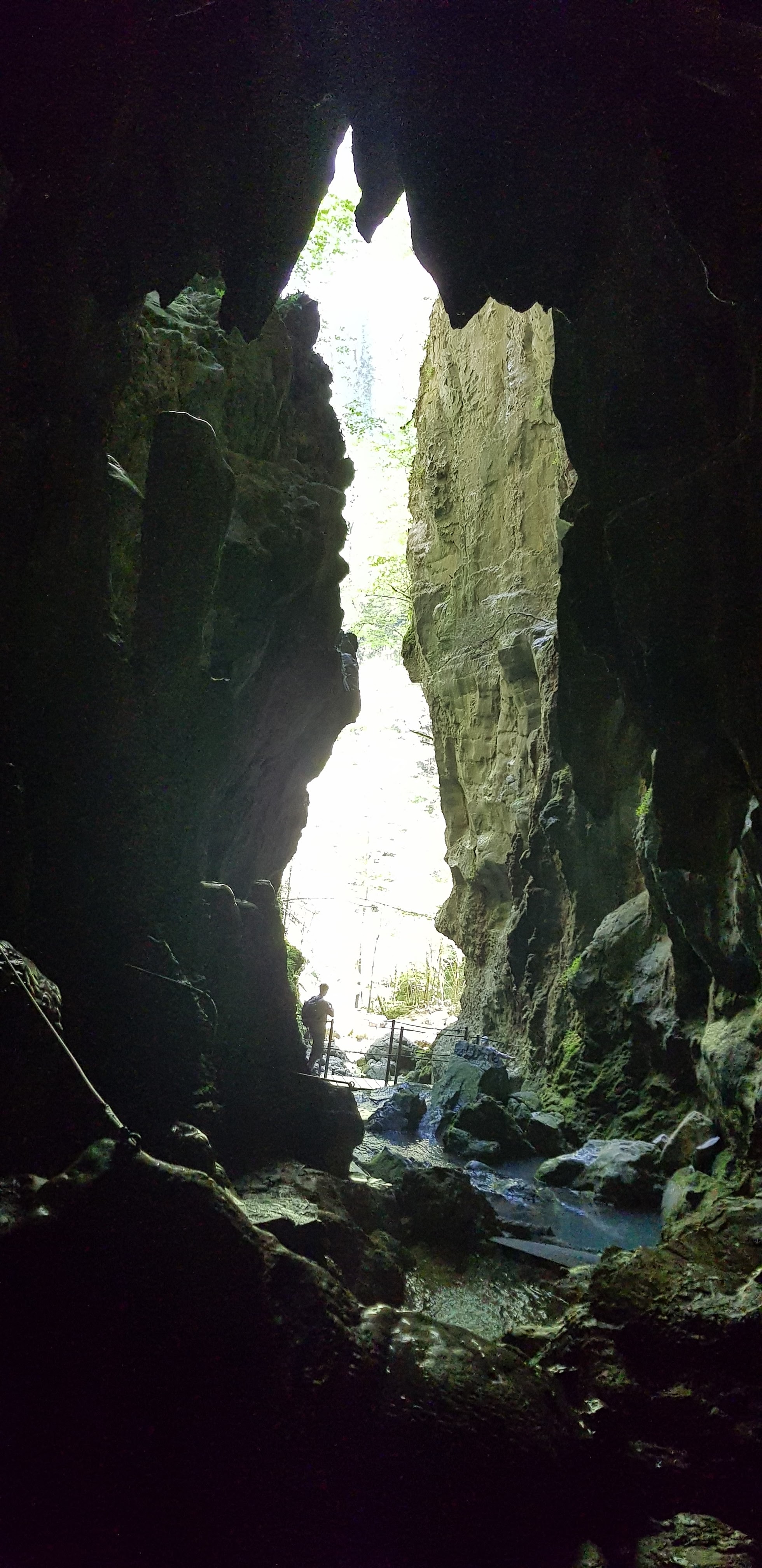 Photo n° 5 de l'avis de fabrice.e fait le 19/07/2018 à 07:30