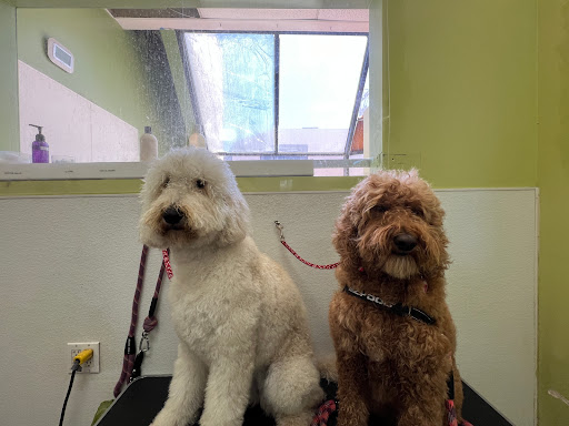 THE PET WASH image