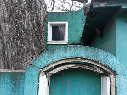 Florist «Mc Phail Florist & Greenhouse», reviews and photos, 605 Barton Springs Rd, Austin, TX 78704, USA