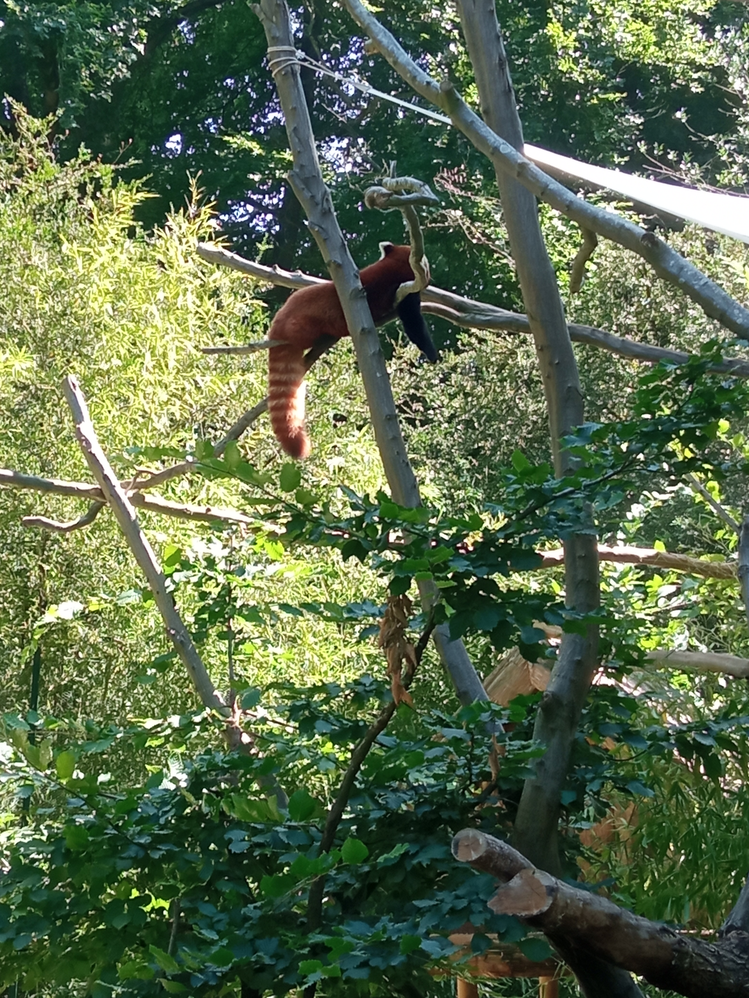 Photo n° 2 de l'avis de Orfelia.i fait le 02/08/2022 à 21:19