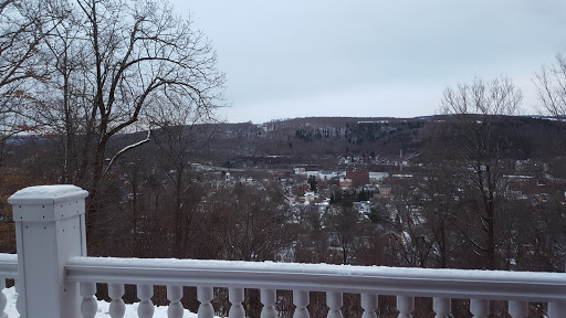 Lodging «D.H.Burrell Overlook Mansion», reviews and photos, 55 Douglas St, Little Falls, NY 13365, USA