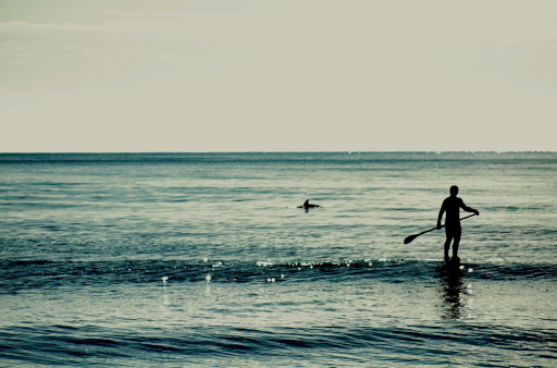 Surf Shop «Surf The Earth», reviews and photos, 47 Da Gullah Way, Pawleys Island, SC 29585, USA