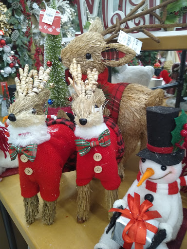 Home Goods Store «Tuesday Morning», reviews and photos, 2648 Tamiami Trail E, Naples, FL 34112, USA