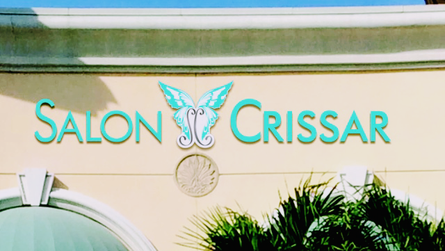 SALON CRISSAR LLC