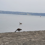 Photo n°8 de l'avis de Giovanni.a fait le 26/05/2022 à 10:46 sur le  Mojito Capodimonte à Sant'Antonio