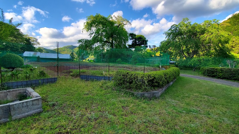 深根城址 静岡県下田市堀之内 城 グルコミ