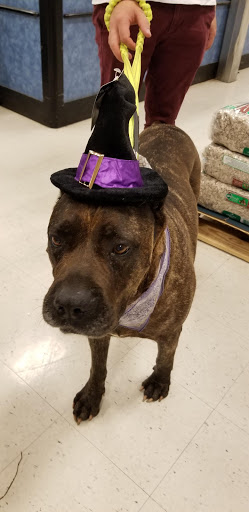 Pet Supply Store «PetSmart», reviews and photos, 8660 Airline Hwy, Baton Rouge, LA 70815, USA