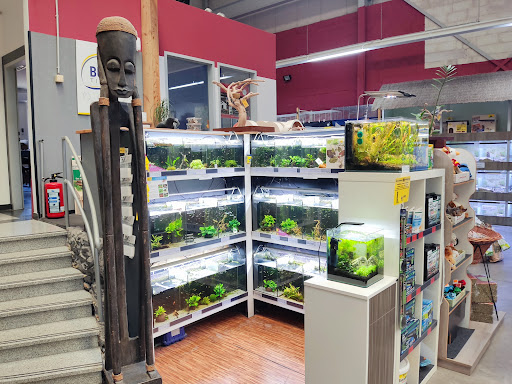 Burdas wildlife GmbH unter Gelsenkirchen, 