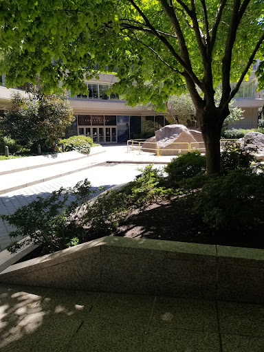 Museum «National Geographic Museum», reviews and photos, 1145 17th Street NW, Washington, DC 20036, USA