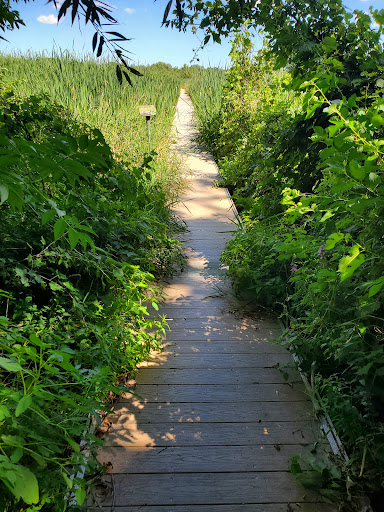 Nature Preserve «Volo Bog», reviews and photos, 28478 W Brandenburg Rd, Ingleside, IL 60041, USA