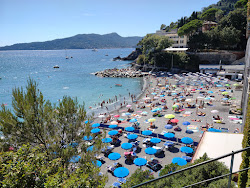 Photo de Spiaggia di Zoagli zone des équipements
