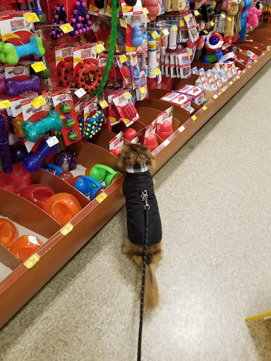 Pet Supply Store «PetSmart», reviews and photos, 114 Commerce Way, Woburn, MA 01801, USA