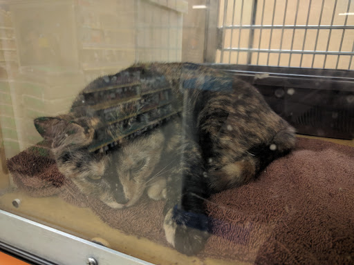 Pet Supply Store «PetSmart», reviews and photos, 2 Brick Plaza, Brick, NJ 08723, USA
