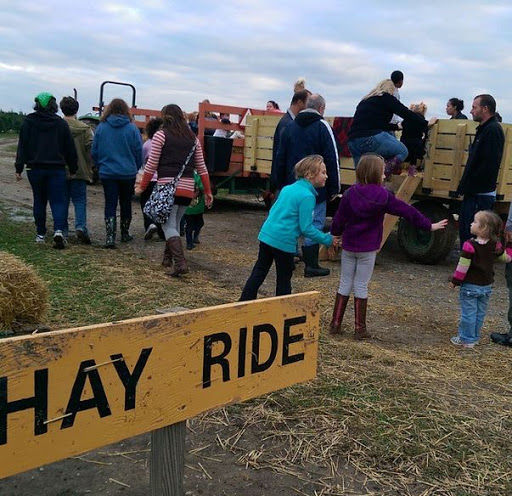 Christmas Tree Farm «Piney Acres», reviews and photos, 1115 E 1000 N, Fortville, IN 46040, USA