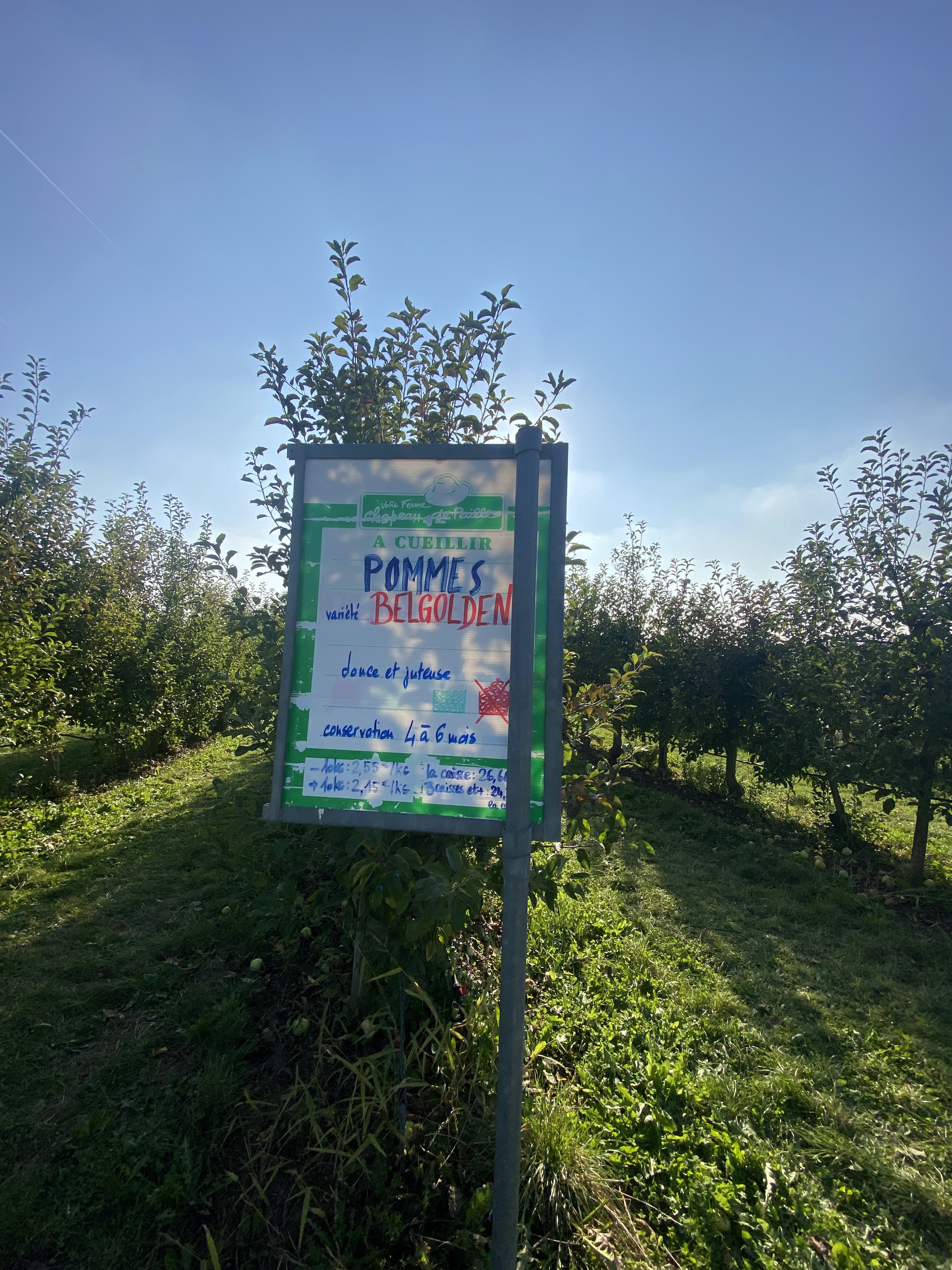 Photo n° 6 de l'avis de Épicurien. fait le 10/10/2021 à 15:22