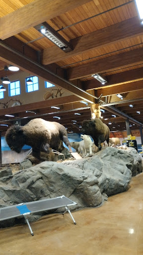 Outdoor Sports Store «Bass Pro Shops», reviews and photos, 7970 Northfield Blvd, Denver, CO 80238, USA