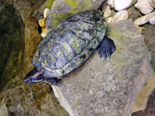 Pet Supply Store «CountryMax - Geneseo», reviews and photos, 4101 Lakeville Rd, Geneseo, NY 14454, USA