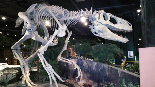 Imax Theater «Mcwane Center IMAX», reviews and photos, 205 19th St N, Birmingham, AL 35203, USA