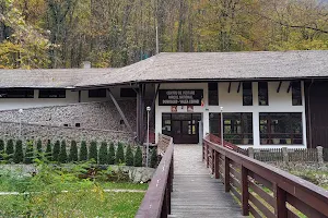 The Visitor Center of the Domogled National Park image